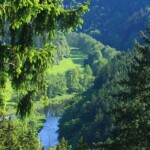 Saalewiesen und Saale bei Ziegenrück